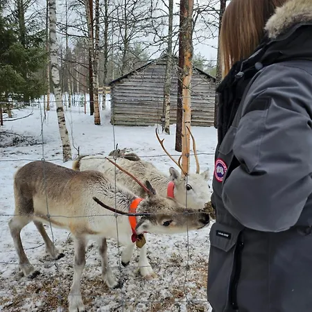 Huilinki Villa Ranua