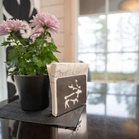 Villa Huilinki Ranua