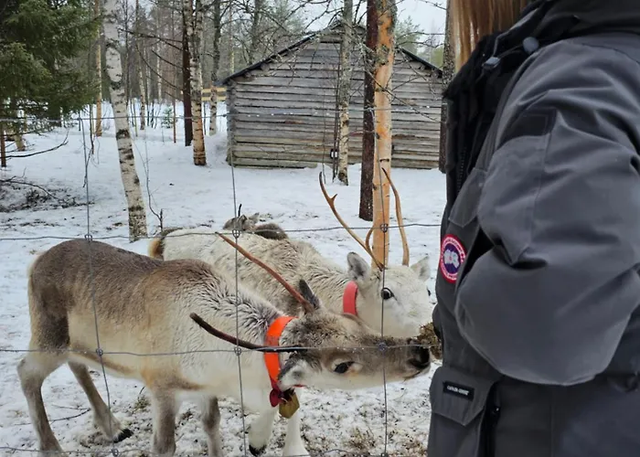 Huilinki Villa Ranua